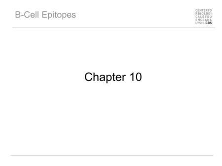 B-Cell Epitopes Chapter 10.
