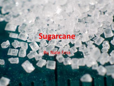 Sugarcane By, Nate Foss. Sugar: worldwide influence Originated in Indonesia and New Guinea Spread to India by traders and travelers. Further spread west.