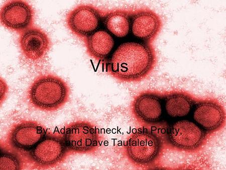 Virus By: Adam Schneck, Josh Prouty, and Dave Taufalele.