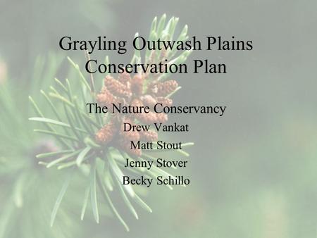 Grayling Outwash Plains Conservation Plan The Nature Conservancy Drew Vankat Matt Stout Jenny Stover Becky Schillo.