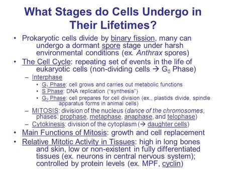 What Stages do Cells Undergo in Their Lifetimes? Prokaryotic cells divide by binary fission, many can undergo a dormant spore stage under harsh environmental.