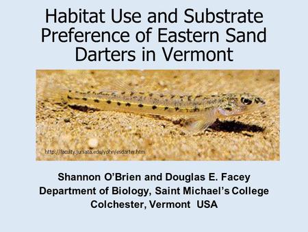 Habitat Use and Substrate Preference of Eastern Sand Darters in Vermont Shannon O’Brien and Douglas E. Facey Department of Biology, Saint Michael’s College.