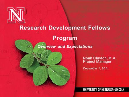 Research Development Fellows Program Overview and Expectations Noah Clayton, M.A. Project Manager December 1, 2011.