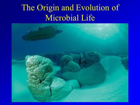 The Origin and Evolution of Microbial Life