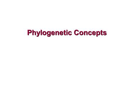 Phylogenetic Concepts. Phylogenetic Relationships Phylogenetic relationships exist between lineages (e.g. species, genes) These include ancestor-descendent.