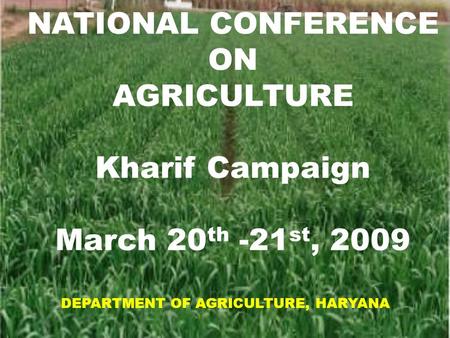 NATIONAL CONFERENCE ON AGRICULTURE Kharif Campaign March 20 th -21 st, 2009 DEPARTMENT OF AGRICULTURE, HARYANA.