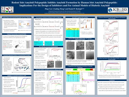 TEMPLATE DESIGN © 2008 www.PosterPresentations.com T 50 Lag time 100%50% Human IAPP Rat IAPP Rodent Islet Amyloid Polypeptide Inhibits Amyloid Formation.