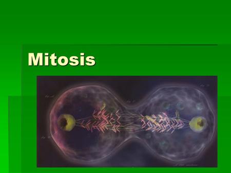 Mitosis. Why Mitosis?  The purpose of mitosis is to generate two new cells from one cell.  The “daughter cells” generated are exact copies of the “parent.