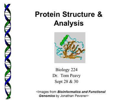 Biology 224 Dr. Tom Peavy Sept 28 & 30