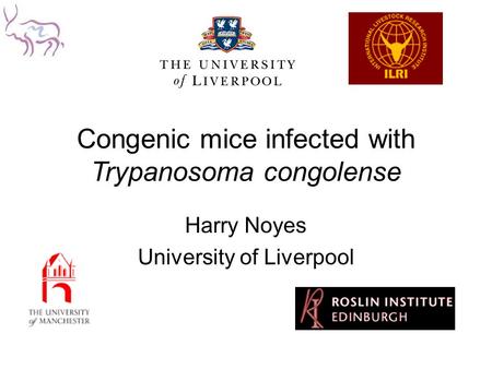 Congenic mice infected with Trypanosoma congolense Harry Noyes University of Liverpool.