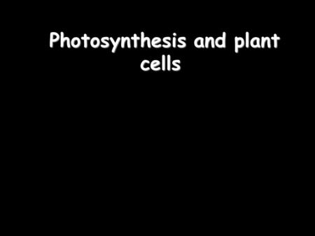 Photosynthesis and plant cells Photosynthesis and plant cells.