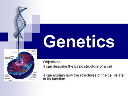 Genetics Objectives: - I can describe the basic structure of a cell. - I can explain how the structures of the cell relate to its function.