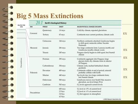Big 5 Mass Extinctions 4 EX 4 4 EX 4. 4 Cambrian Period 543 - 500 mya 4 Devonian Period 409-354 mya 4 Permian 290 - 245 mya 4 Creataceous 144 - 65 mya.