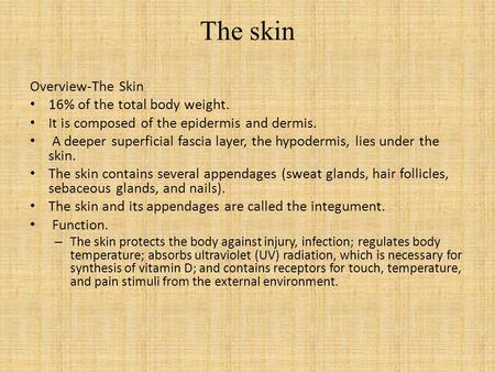 The skin Overview-The Skin 16% of the total body weight.