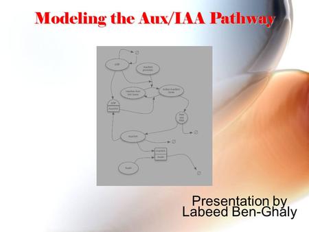 Modeling the Aux/IAA Pathway Presentation by Labeed Ben-Ghaly.