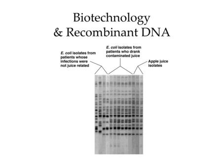 Biotechnology & Recombinant DNA. What is biotechnology?  Using living microorganisms or cell components to make products Often via genetic engineering.