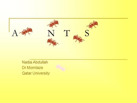 Nadia Abdullah Dr Momtaze Qatar University
