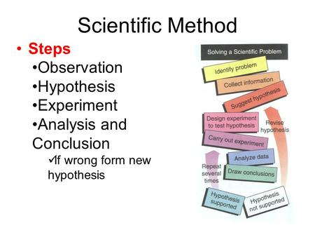 Scientific Method Steps Observation Hypothesis Experiment