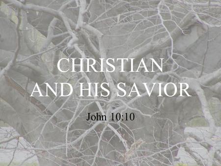 CHRISTIAN AND HIS SAVIOR John 10:10. Receiving Jesus Brings Life Before receiving Jesus the believer is spiritually dead. “…he who does not believe the.