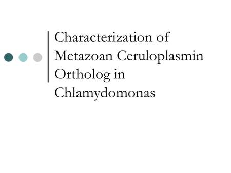 Characterization of Metazoan Ceruloplasmin Ortholog in Chlamydomonas.