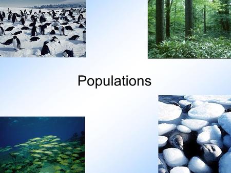 Populations. Important Vocabulary 1. Birth rate: number of births in a population in one year 2. Death rate: number of deaths in a population in one year.
