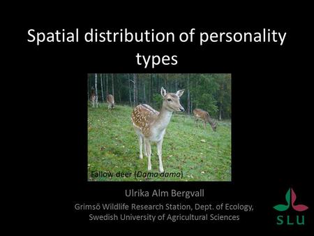 Spatial distribution of personality types Ulrika Alm Bergvall Grimsö Wildlife Research Station, Dept. of Ecology, Swedish University of Agricultural Sciences.