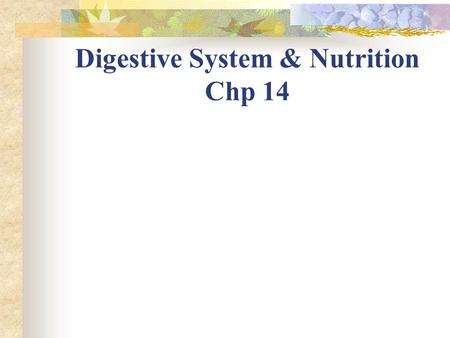 Digestive System & Nutrition Chp 14