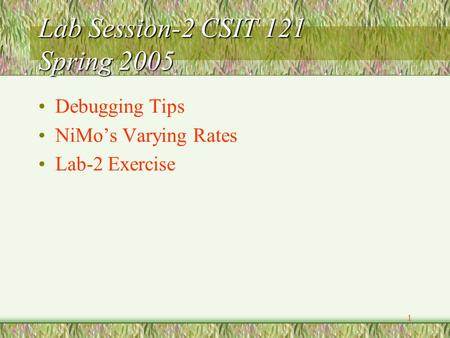 1 Lab Session-2 CSIT 121 Spring 2005 Debugging Tips NiMo’s Varying Rates Lab-2 Exercise.