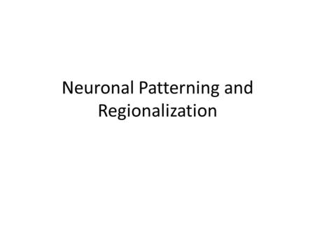 Neuronal Patterning and Regionalization