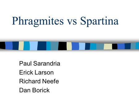 Phragmites vs Spartina Paul Sarandria Erick Larson Richard Neefe Dan Borick.