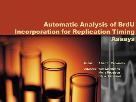Automatic Analysis of BrdU Incorporation for Replication Timing Assays Intern: Albert F. Cervantes Advisors: York Marahrens Moira Regelson Silvia Diaz-Perez.