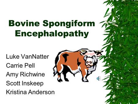 Bovine Spongiform Encephalopathy Luke VanNatter Carrie Pell Amy Richwine Scott Inskeep Kristina Anderson.