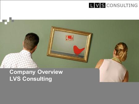 © 2005 by LVS Consulting Company Overview LVS Consulting.