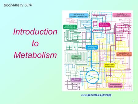 Biochem Introduction to Metabolism - EWalker