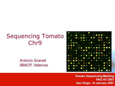 Sequencing Tomato Chr9 Tomato Sequencing Meeting PAG XV 2007 San Diego, 14 January 2007 Antonio Granell IBMCP, Valencia.