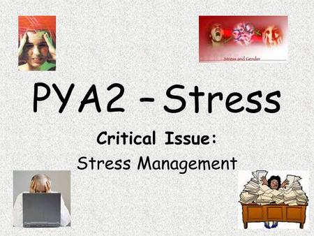 Critical Issue: Stress Management