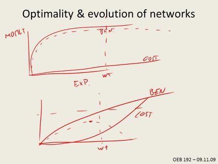 OEB 192 – 09.11.09 Optimality & evolution of networks.