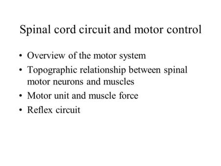 Spinal cord circuit and motor control Overview of the motor system Topographic relationship between spinal motor neurons and muscles Motor unit and muscle.