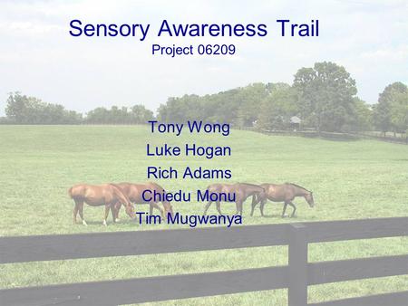 Sensory Awareness Trail Project 06209 Tony Wong Luke Hogan Rich Adams Chiedu Monu Tim Mugwanya.
