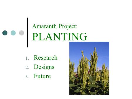 Amaranth Project: PLANTING  Research  Designs  Future.