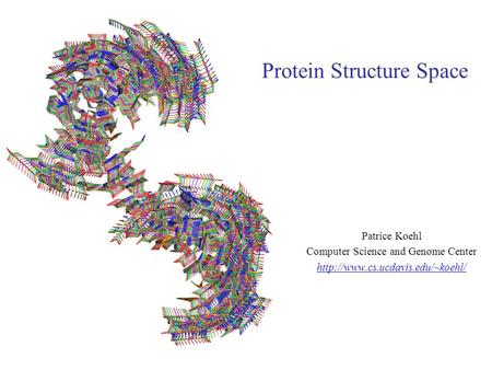 Protein Structure Space Patrice Koehl Computer Science and Genome Center