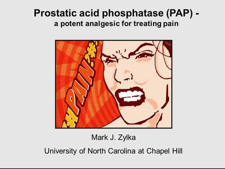 Prostatic acid phosphatase (PAP) - a potent analgesic for treating pain Mark J. Zylka University of North Carolina at Chapel Hill.