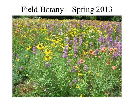 Field Botany – Spring 2013. Course Website