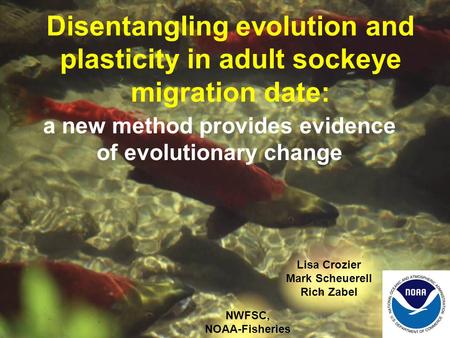 Disentangling evolution and plasticity in adult sockeye migration date: a new method provides evidence of evolutionary change Lisa Crozier Mark Scheuerell.
