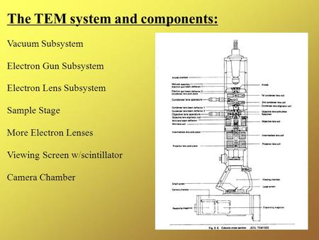 The TEM system and components: