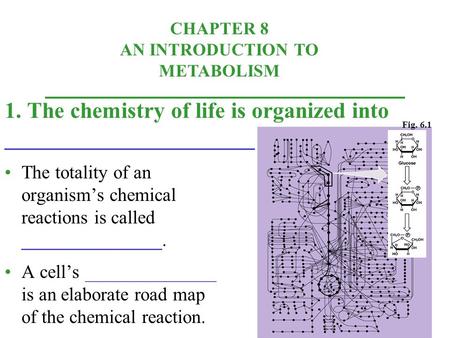 CHAPTER 8 AN INTRODUCTION TO METABOLISM The totality of an organism’s chemical reactions is called _______________. A cell’s ______________ is an elaborate.