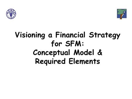 Visioning a Financial Strategy for SFM: Conceptual Model & Required Elements.
