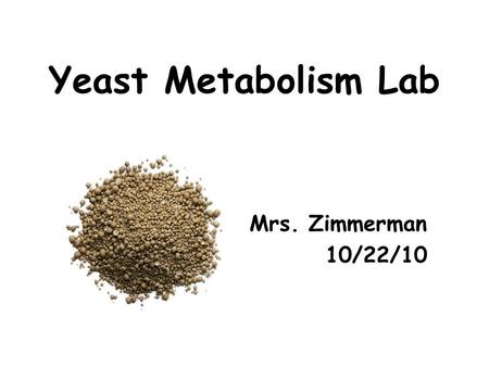 Yeast Metabolism Lab Mrs. Zimmerman 10/22/10. Photosynthesis 6 CO 2 + 6 H 2 O  C 6 H 12 O 6 + 6 O 2 Energy from sunlight.