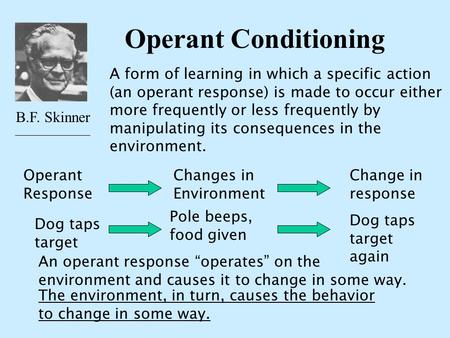 Operant Conditioning A form of learning in which a specific action (an operant response) is made to occur either more frequently or less frequently by.
