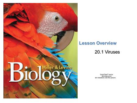 Lesson Overview 20.1 Viruses.